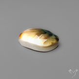 Rose Cut Shiva Eye Shell