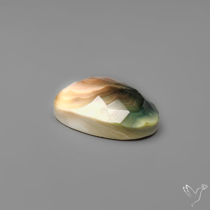 Rose Cut Shiva Eye Shell