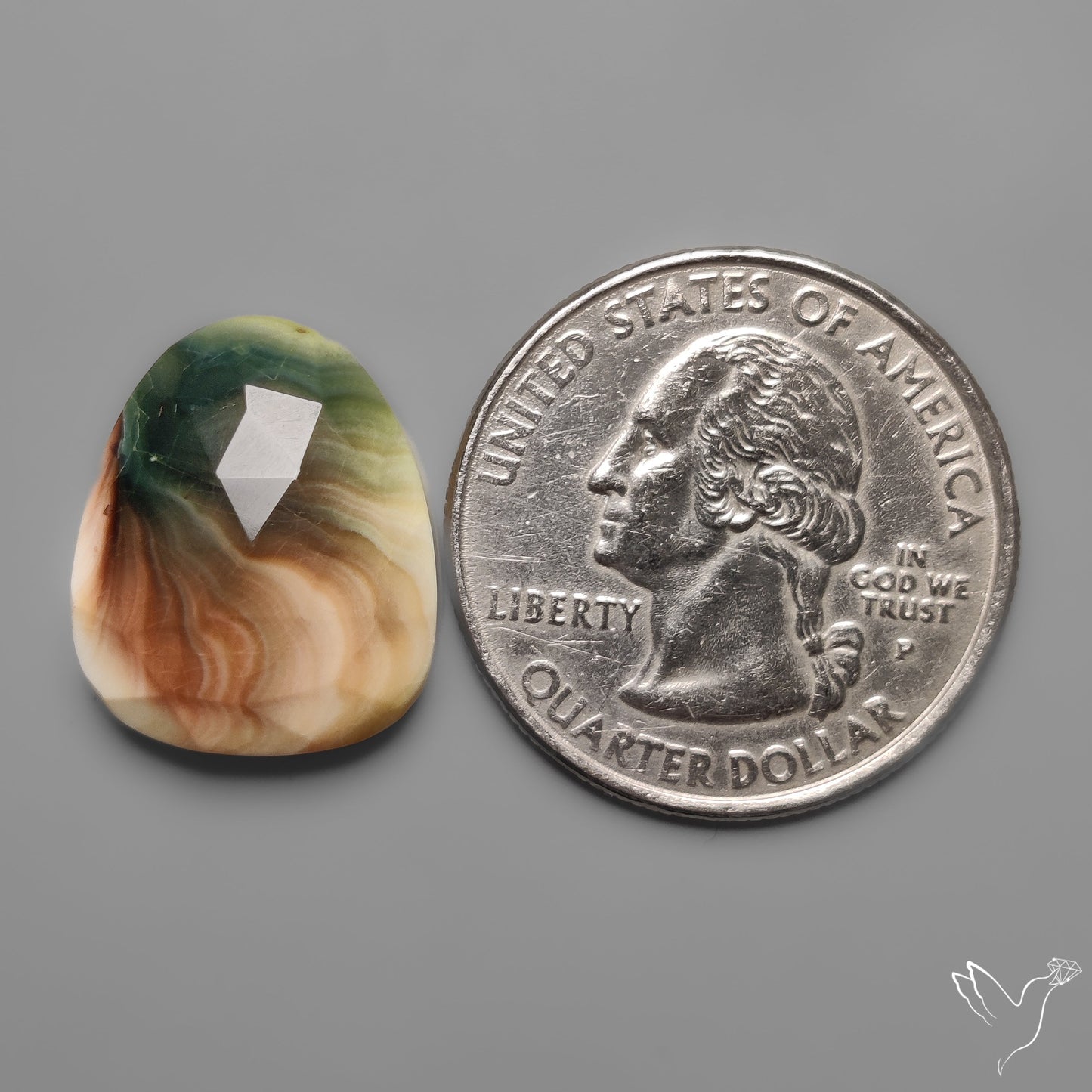 Rose Cut Shiva Eye Shell