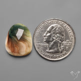 Rose Cut Shiva Eye Shell