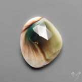 Rose Cut Shiva Eye Shell