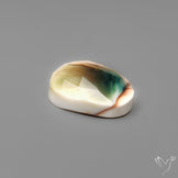 Rose Cut Shiva Eye Shell