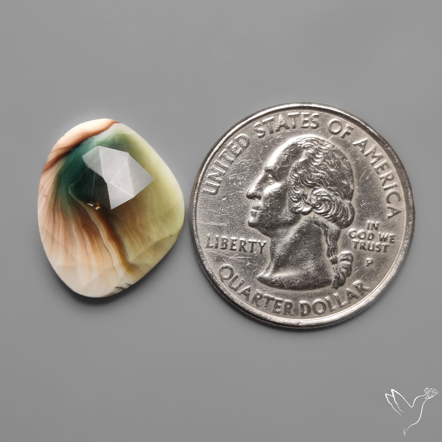 Rose Cut Shiva Eye Shell