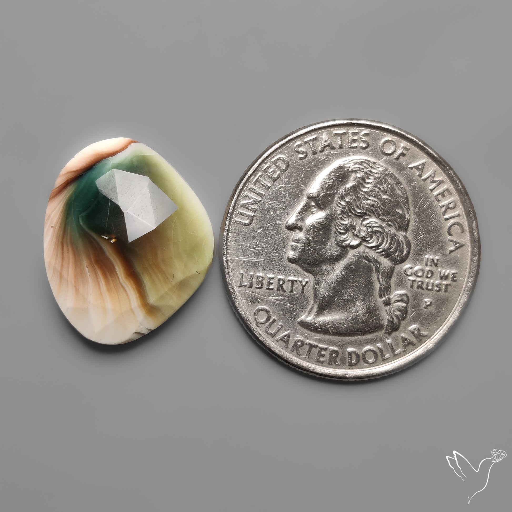 Rose Cut Shiva Eye Shell