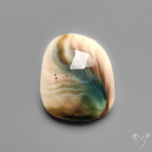 Rose Cut Shiva Eye Shell