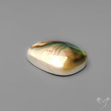 Rose Cut Shiva Eye Shell