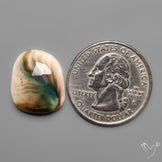 Rose Cut Shiva Eye Shell