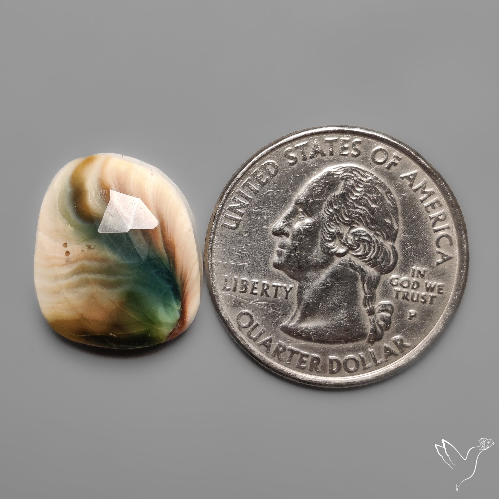 Rose Cut Shiva Eye Shell