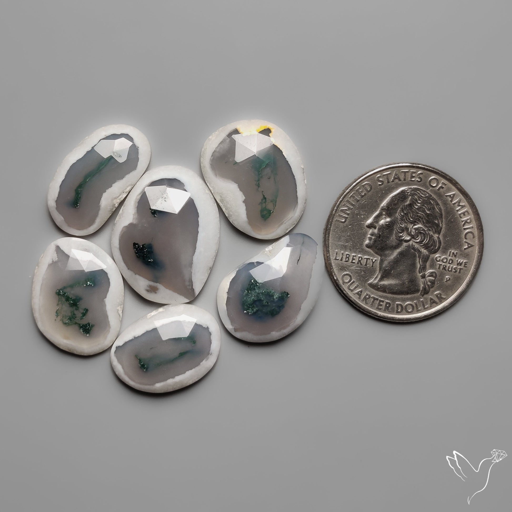 Rose Cut Solar Moss Agates Lot