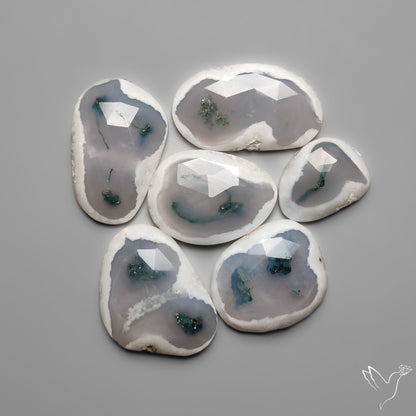 Rose Cut Solar Moss Agates Lot