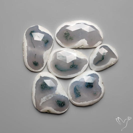 Rose Cut Solar Moss Agates Lot