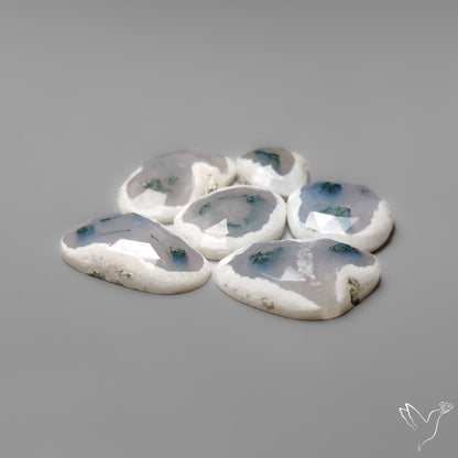 Rose Cut Solar Moss Agates Lot