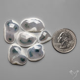 Rose Cut Solar Moss Agates Lot