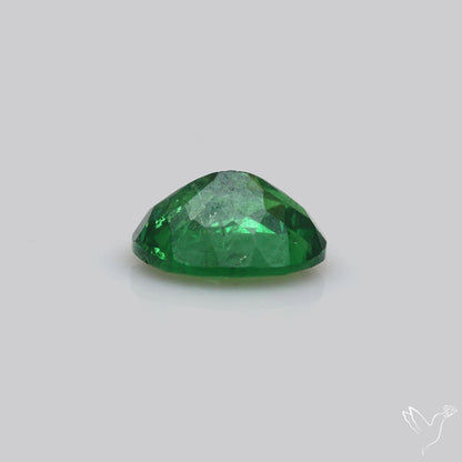 Natural Tsavorite Rare Faceted