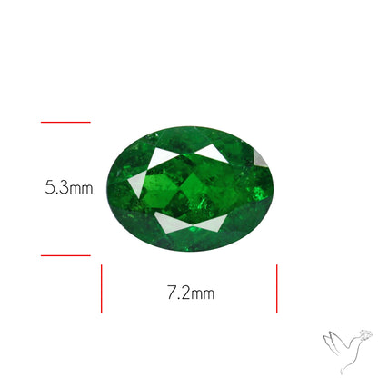 Natural Tsavorite Rare Faceted