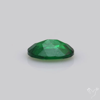 Natural Tsavorite Rare Faceted