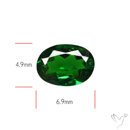 Natural Tsavorite Rare Faceted