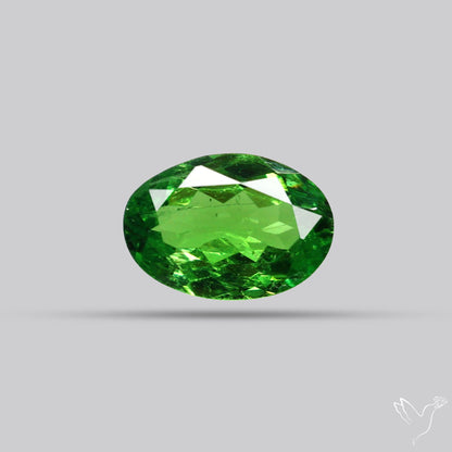 Natural Tsavorite Rare Faceted