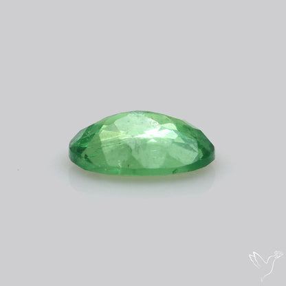 Natural Tsavorite Rare Faceted