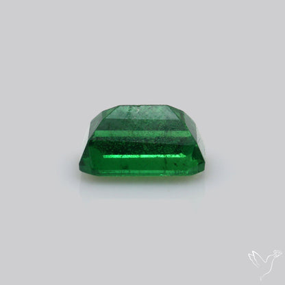 Natural Tsavorite Rare Faceted