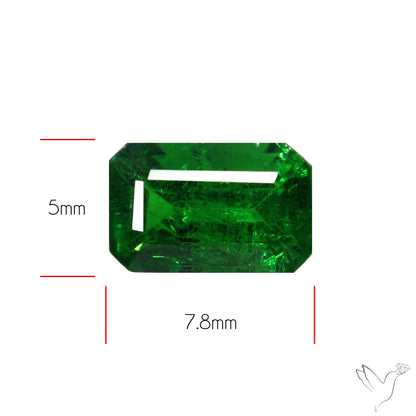 Natural Tsavorite Rare Faceted