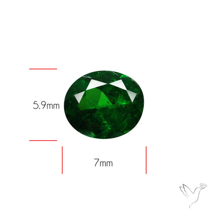Natural Tsavorite Rare Faceted