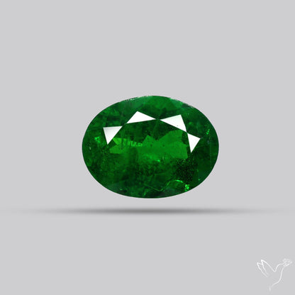 Natural Tsavorite Rare Faceted