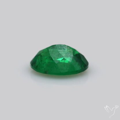 Natural Tsavorite Rare Faceted