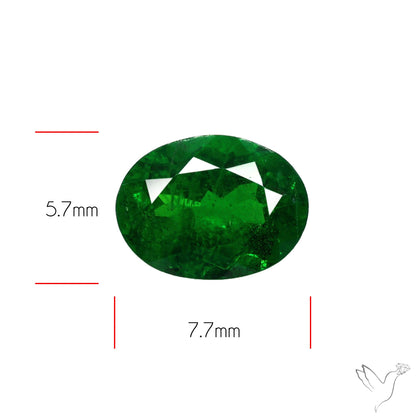 Natural Tsavorite Rare Faceted