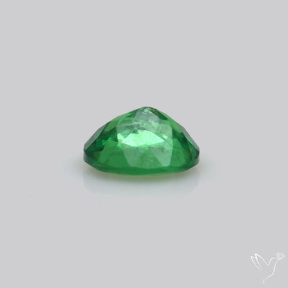 Natural Tsavorite Rare Faceted