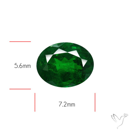 Natural Tsavorite Rare Faceted