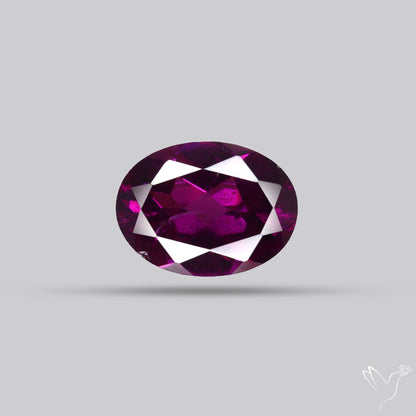 Gem Rhodolite Garnet Faceted