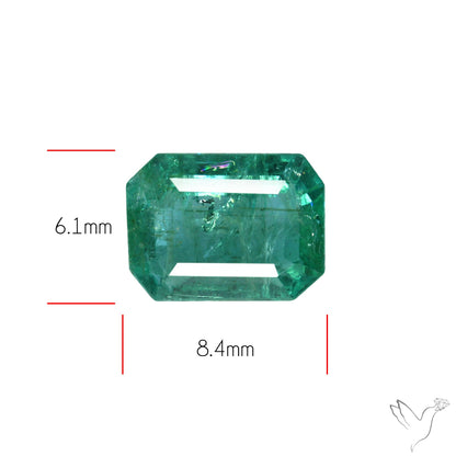 Faceted Zambian Emerald