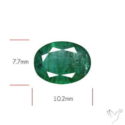 Faceted Zambian Emerald
