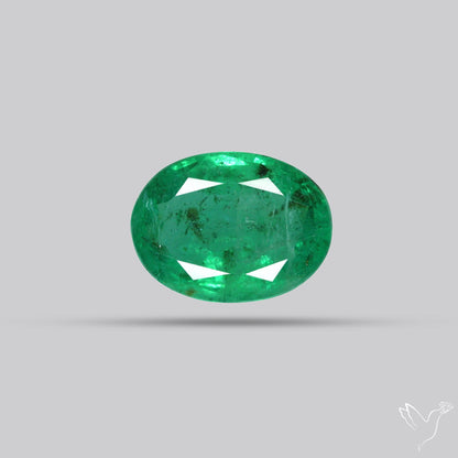 Faceted Zambian Emerald