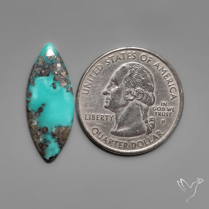 Campitos Turquoise Cabochon with Pyrite Inclusions