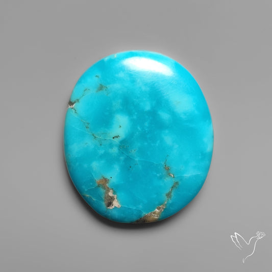 Campitos Turquoise Cabochon