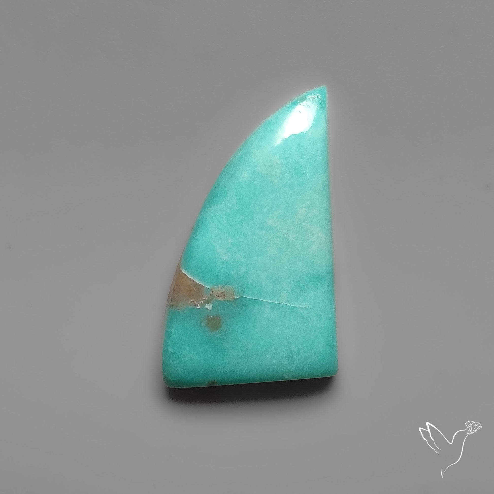 Campitos Turquoise Cabochon