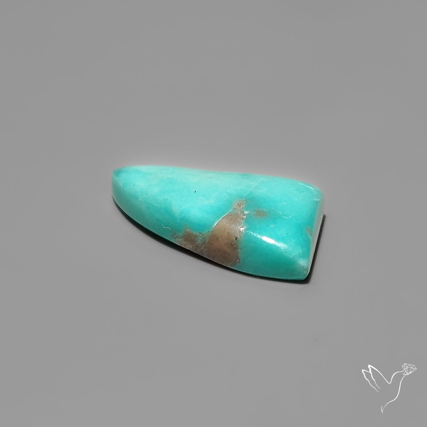 Campitos Turquoise Cabochon