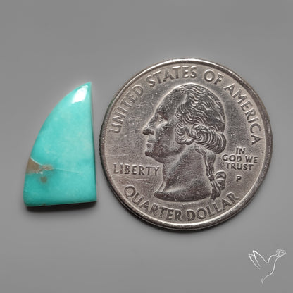 Campitos Turquoise Cabochon