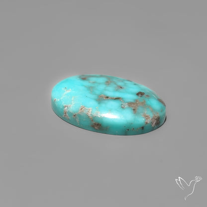 Campitos Turquoise Cabochon