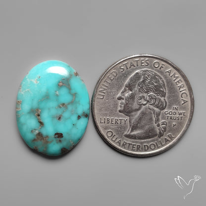 Campitos Turquoise Cabochon