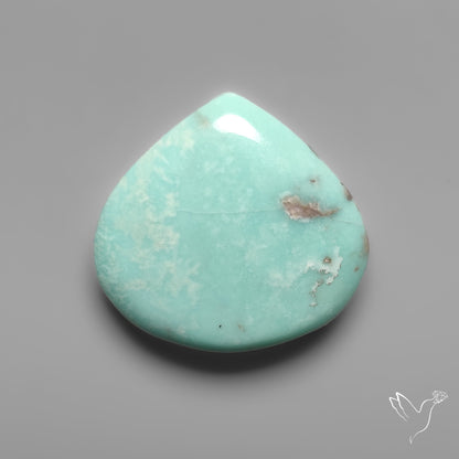 Campitos Turquoise Cabochon
