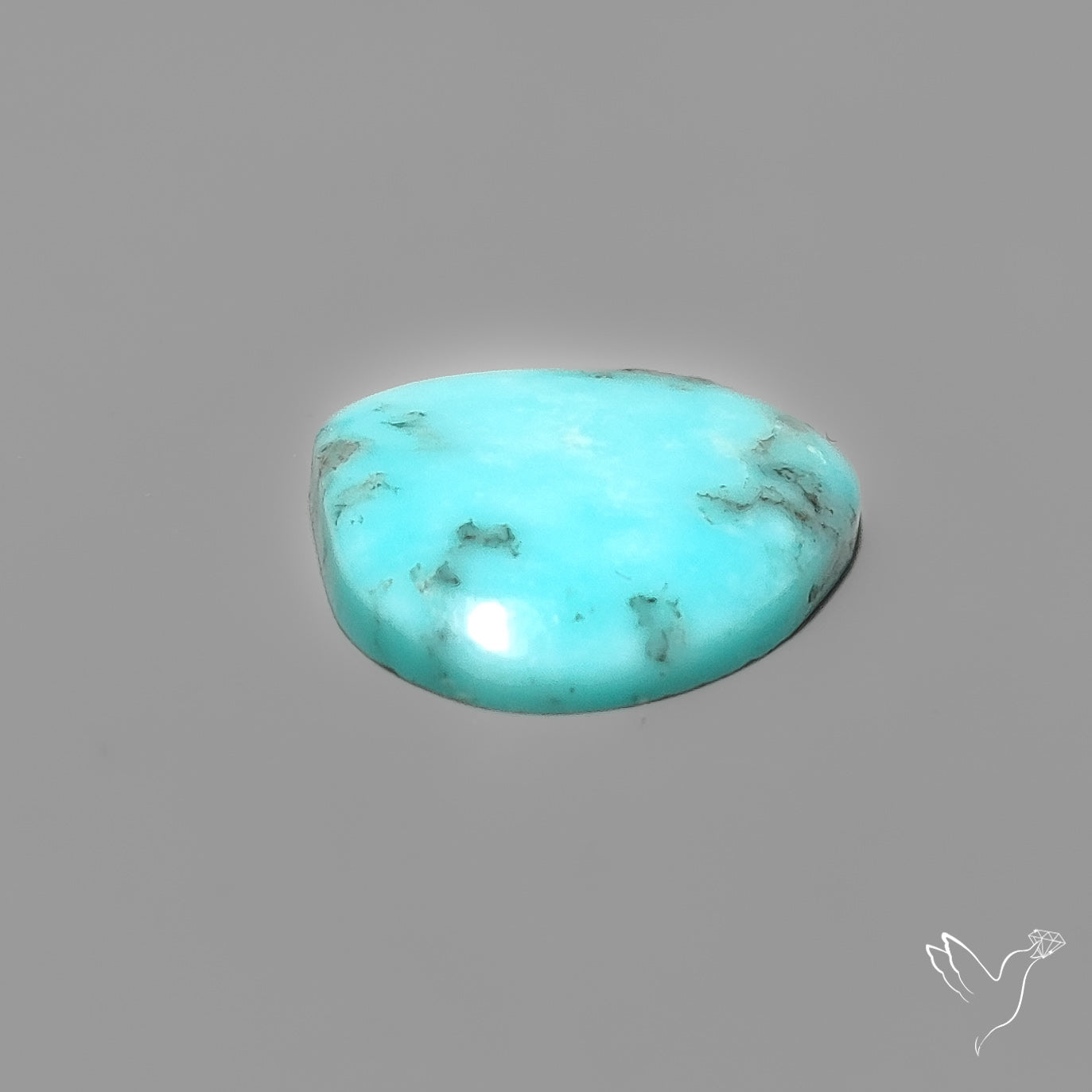 Campitos Turquoise Cabochon