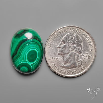Botryoidal Malachite Cabochon