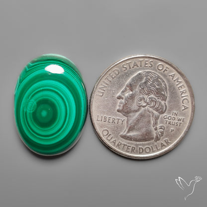 Botryoidal Malachite Cabochon