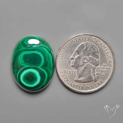 Botryoidal Malachite Cabochon