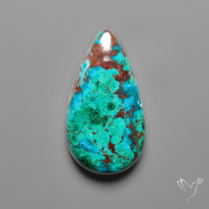 Peruvian Chrysocolla Cabochon