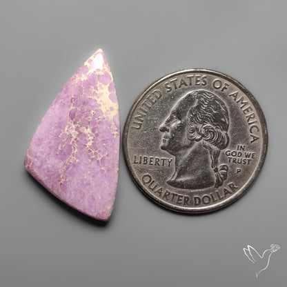 Phosphosiderite Spiderweb Matrix Cabochon