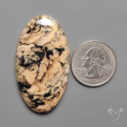 Australian Dendritic Agate Cabochon aka Yellow/Tiger Dendrite